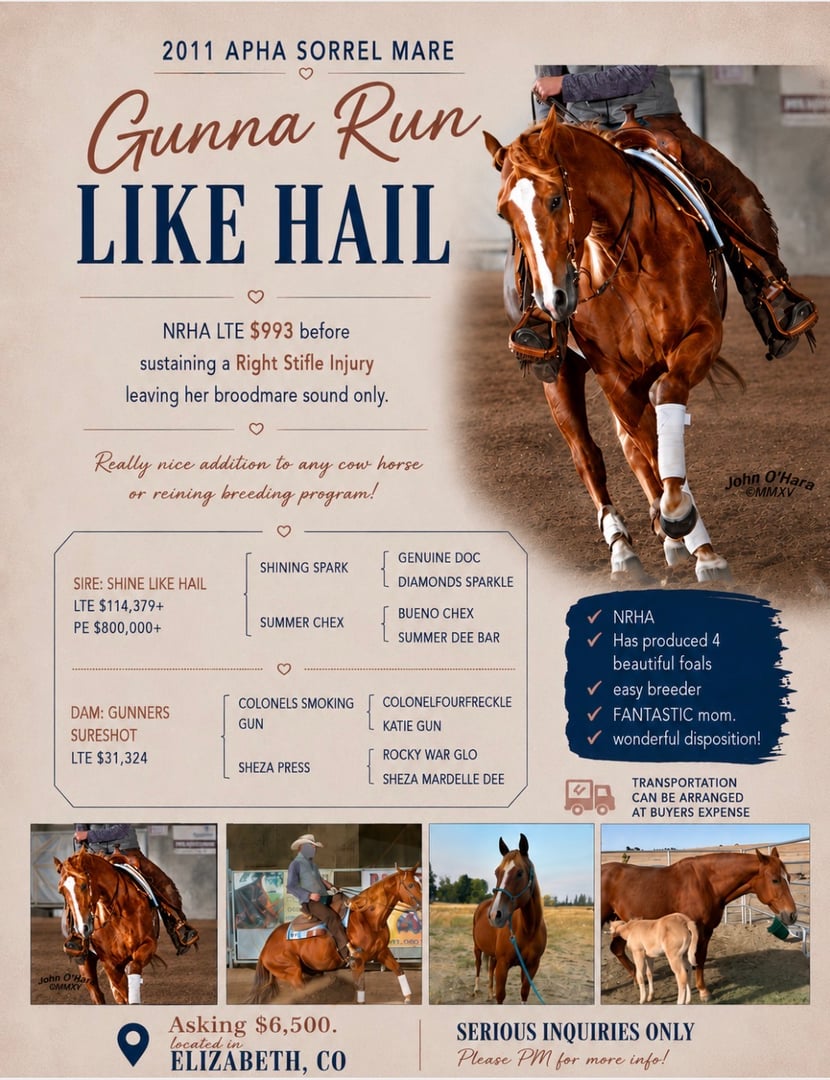 Gunna Run Like Hail - Photo 1