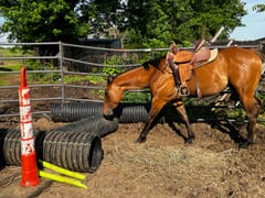 STRIKING AND GRAND - Thumbnail 11