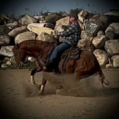 Angel Dust And Tequila - Thumbnail 6