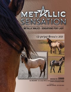 Metallic Sensation - Thumbnail 2