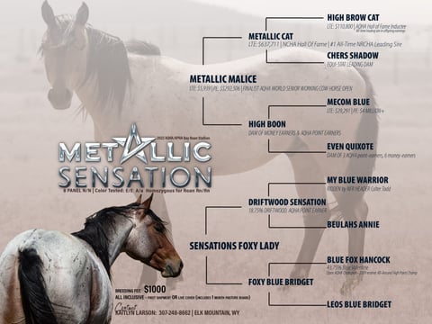Metallic Sensation - Photo 1