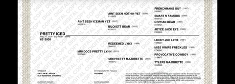 Pretty Iced - Thumbnail 2