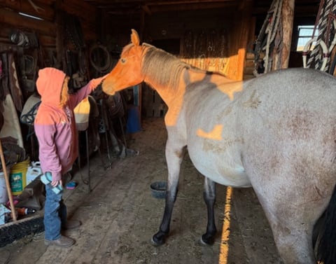 Pretty Iced - Thumbnail 4