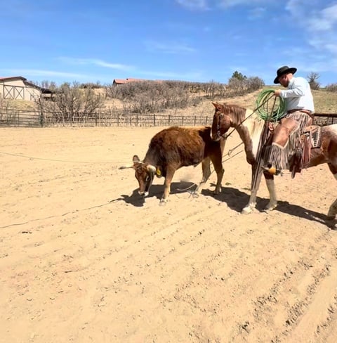 Catz Peptospoonful - Thumbnail 1