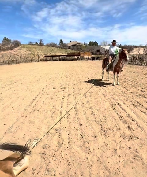 Catz Peptospoonful - Thumbnail 2