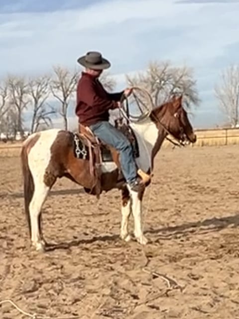 Catz Peptospoonful - Thumbnail 6