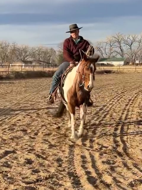 Catz Peptospoonful - Thumbnail 7