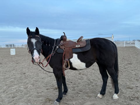 Maizy - Photo 1
