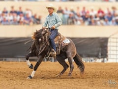 Cowboys Metallic A115 - Thumbnail 3
