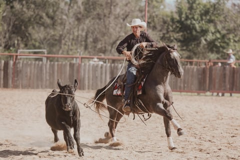 Cowboys Metallic A115 - Photo 1