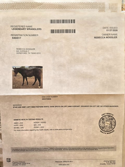 Legendary Wranglers - Thumbnail 5