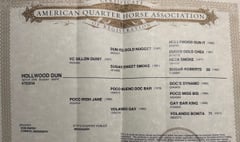 Hollwood Dun - Thumbnail 2