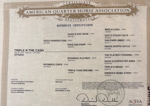 Triple N The Cash - Photo 1