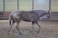 Kona - Thumbnail 1