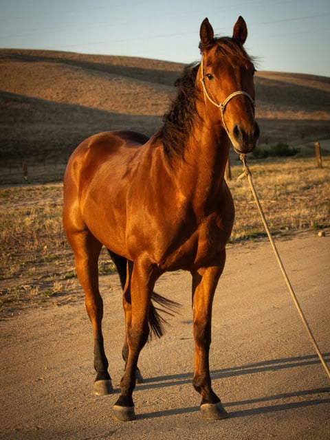 HS Boonlight Sanlena - Photo 1