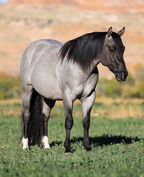 Metallic Holidoc - Thumbnail 2