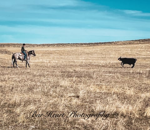 Metallic Holidoc - Thumbnail 4