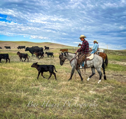 Metallic Holidoc - Thumbnail 6