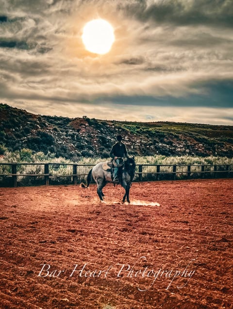 Metallic Holidoc - Thumbnail 7