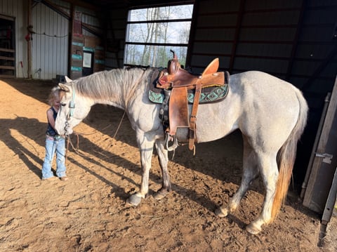 TGR CATS PHOEBE BOON - Thumbnail 7