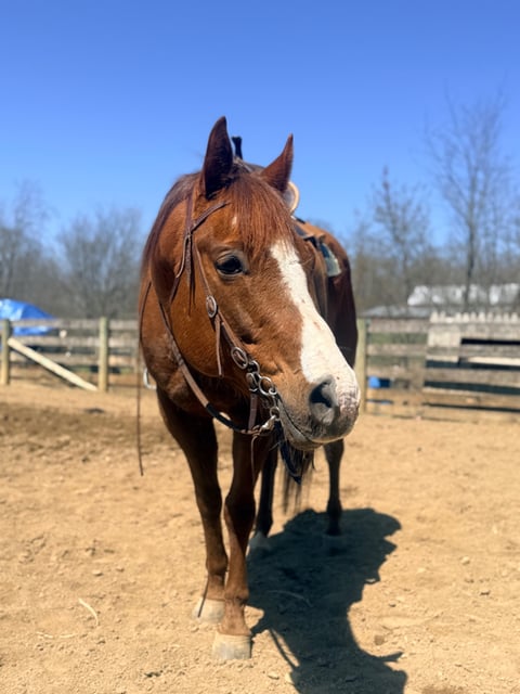 Lil Time To Touch - Thumbnail 1