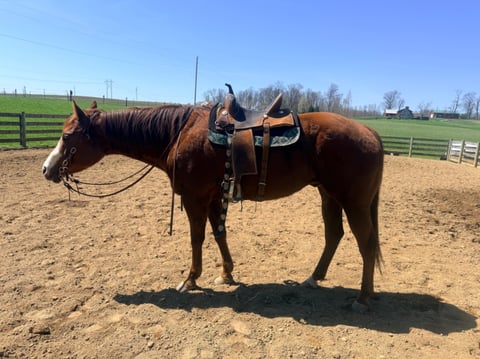 Lil Time To Touch - Thumbnail 2