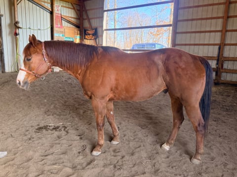 Lil Time To Touch - Thumbnail 3