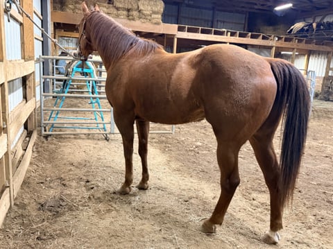 Lil Time To Touch - Thumbnail 4