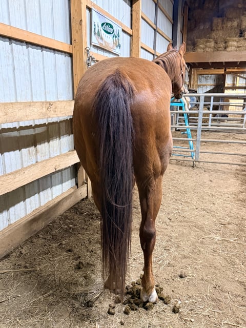 Lil Time To Touch - Thumbnail 5