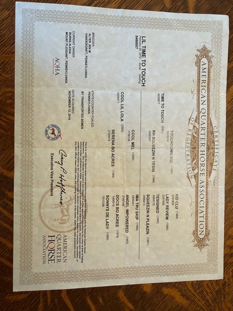 Lil Time To Touch - Thumbnail 6