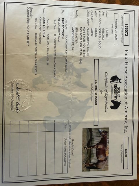 Lil Time To Touch - Thumbnail 7