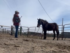 Tetsuko - Thumbnail 3