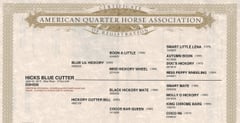 Hicks Blue Cutter - Thumbnail 2