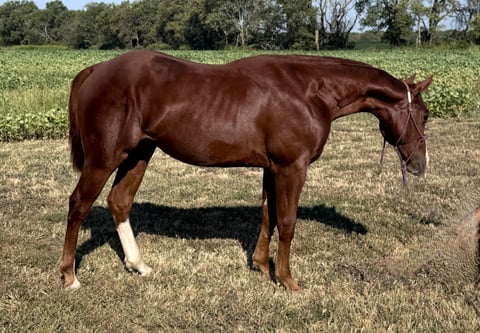 Hes Irish Time - Photo 1