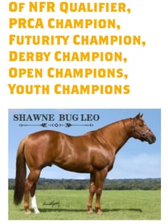 Shawne Bug Leo o/o Miss Smoking Playgun - Thumbnail 11