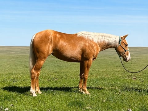 Juans Jay Girl