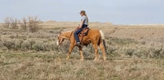 Juans Jay Girl - Thumbnail 7
