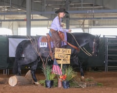 Bee Lowa Star Cowboy - Thumbnail 3