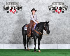 Bee Lowa Star Cowboy - Thumbnail 4