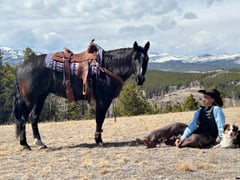 Bee Lowa Star Cowboy - Thumbnail 7