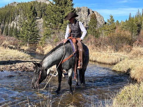 Bee Lowa Star Cowboy - Photo 1
