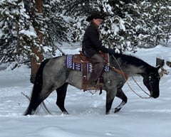 Bee Lowa Star Cowboy - Thumbnail 2