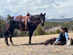 Bee Lowa Star Cowboy - Thumbnail 3