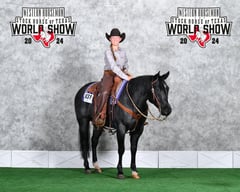 Bee Lowa Star Cowboy - Thumbnail 7
