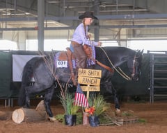 Bee Lowa Star Cowboy - Thumbnail 8