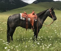 Bee Lowa Star Cowboy - Thumbnail 9