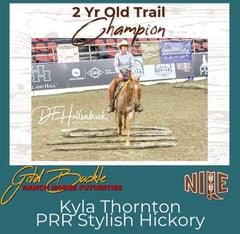 PRR Stylish Hickory - Thumbnail 7