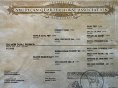 Silver Dual Hunka - Thumbnail 11