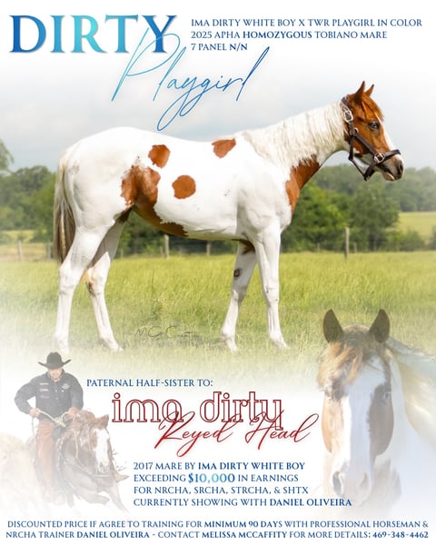 Dirty Playgirl - Photo 1