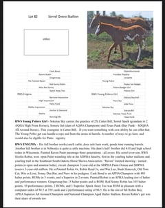 RED CLOUD - Thumbnail 3